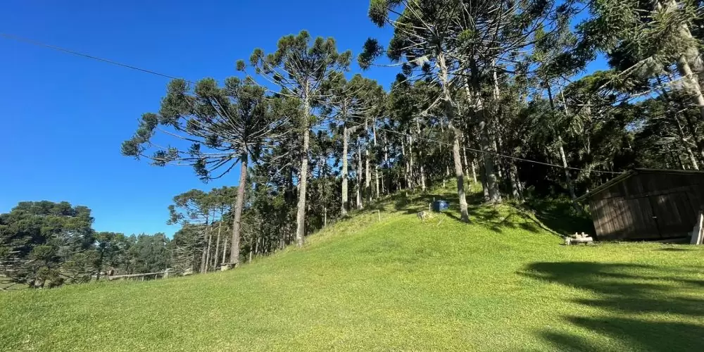 WhatsApp Image 2023-04-14 at 13.51.15