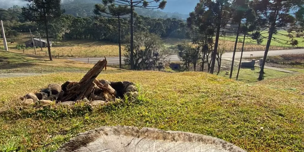 WhatsApp Image 2023-04-14 at 13.51.46