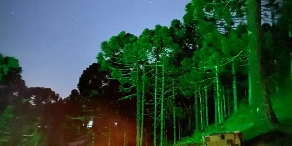 WhatsApp Image 2023-04-14 at 13.51.48